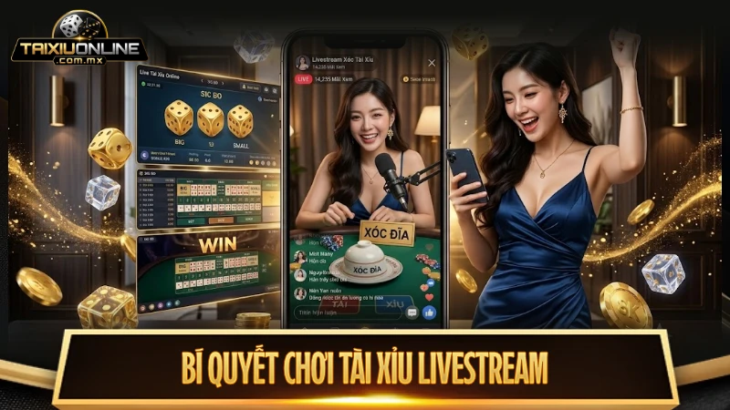 Bí quyết chơi tài xỉu livestream luôn giành thắng lớn