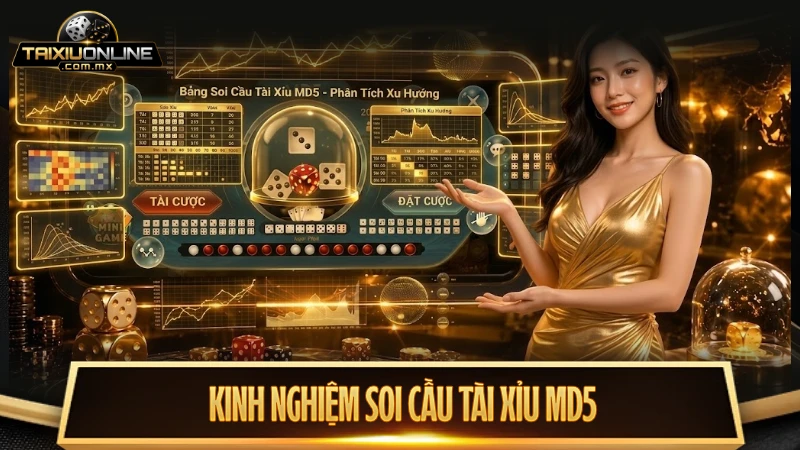 Bỏ túi kinh nghiệm soi cầu Tài Xỉu MD5 đỉnh cao từ chuyên gia