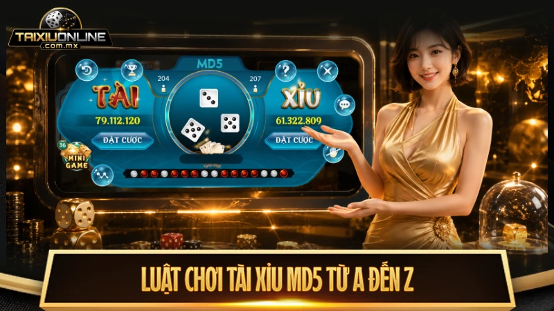 Hướng dẫn luật chơi MD5 tài xỉu từ A đến Z cho người mới nhập môn