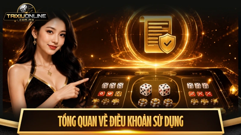 Tổng quan về điều khoản sử dụng tại Tài Xỉu Online